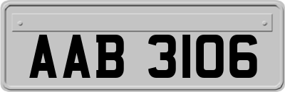 AAB3106