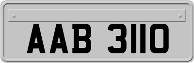 AAB3110