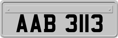 AAB3113