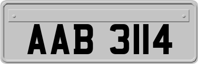 AAB3114