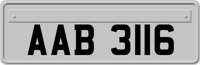 AAB3116