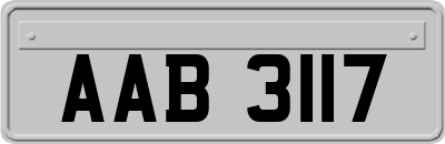 AAB3117