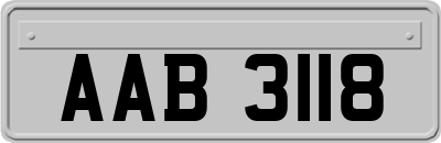 AAB3118