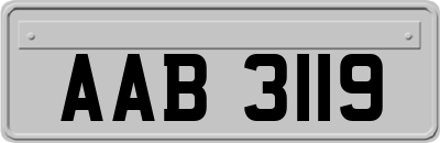 AAB3119