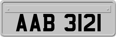 AAB3121