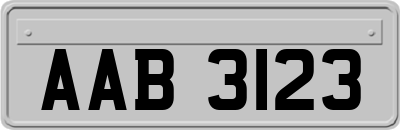 AAB3123