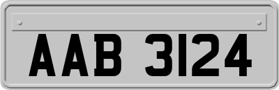 AAB3124