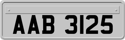 AAB3125