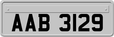 AAB3129