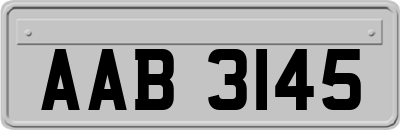 AAB3145