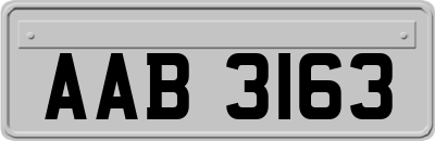 AAB3163