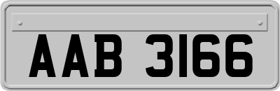 AAB3166