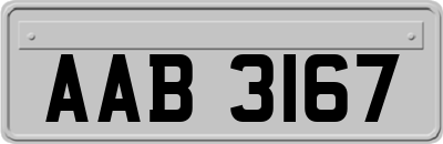 AAB3167