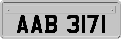 AAB3171