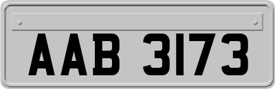 AAB3173