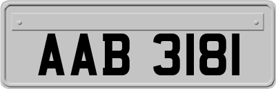 AAB3181