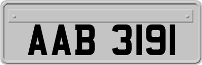 AAB3191