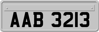 AAB3213