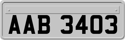 AAB3403