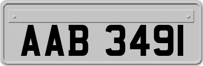 AAB3491