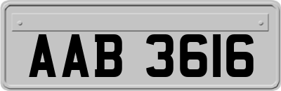 AAB3616