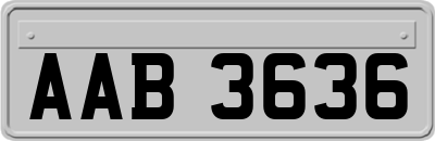 AAB3636