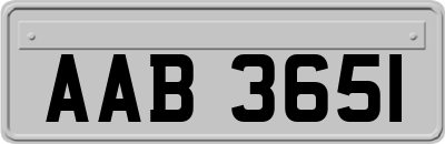 AAB3651