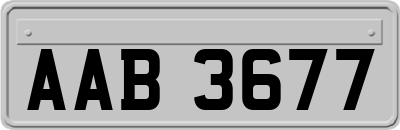 AAB3677