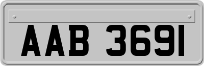 AAB3691