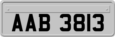 AAB3813