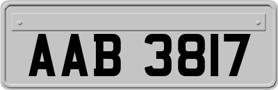 AAB3817