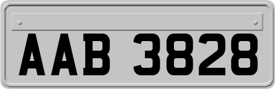 AAB3828