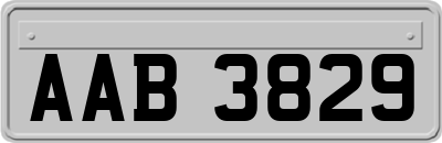 AAB3829