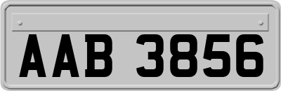 AAB3856