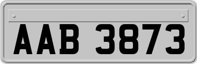 AAB3873