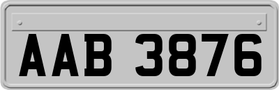 AAB3876