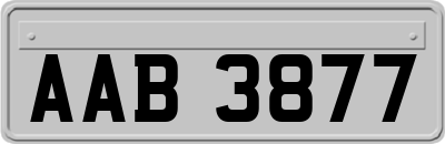 AAB3877