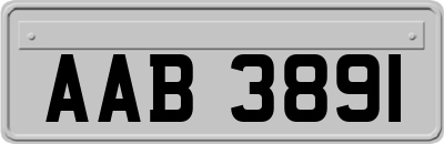 AAB3891