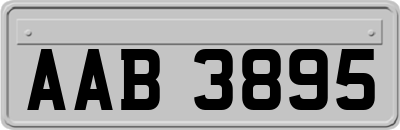 AAB3895