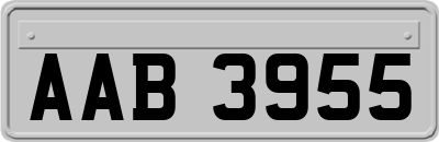 AAB3955