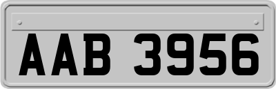 AAB3956