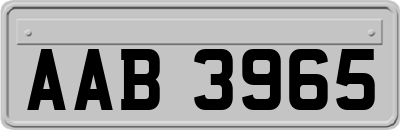 AAB3965