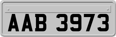 AAB3973