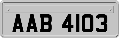 AAB4103