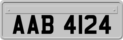 AAB4124