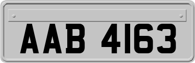 AAB4163