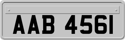 AAB4561