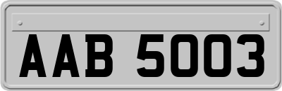 AAB5003