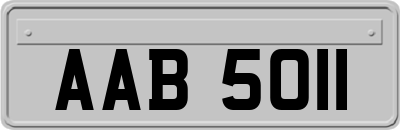 AAB5011