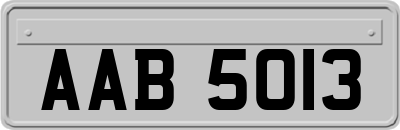 AAB5013